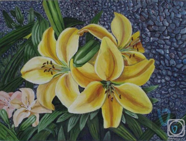 �������. ������� ���������. K�������