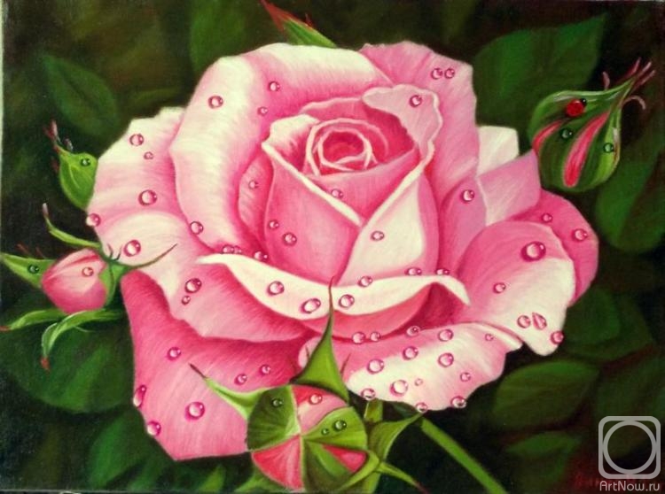 ������� ������ �� ������. ����� �������. ����