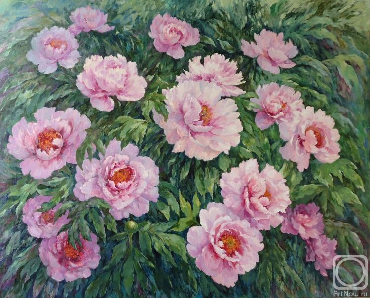 ������� ������ �� ������. ������� �������. ����