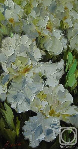 ������� ������ �� ������. ������ �������. ����� �����