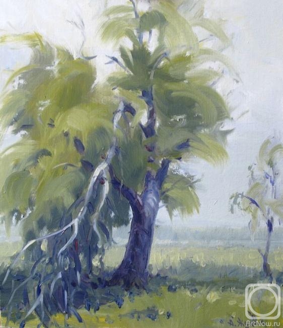 �������. ������ ���������. �������� ���� �� ��������� �������