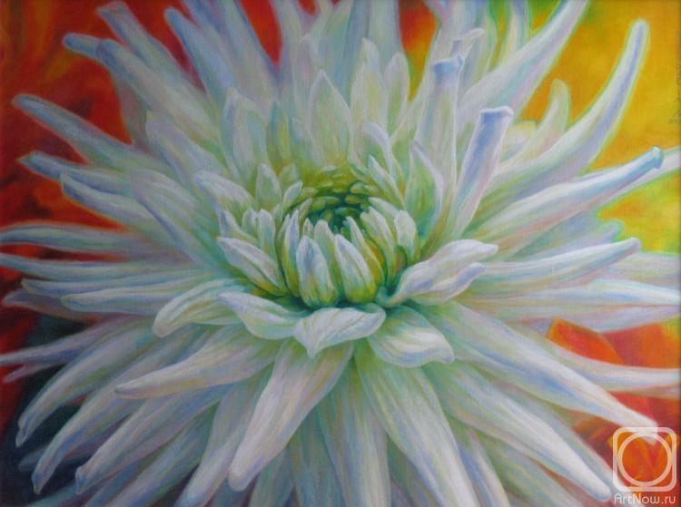 ������� ������ �� ������. ��������� �������. ������� �������, ��� ��������� �����