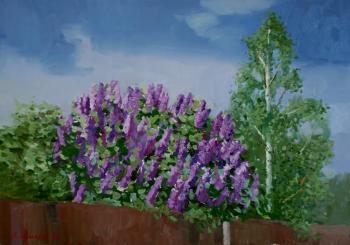 ������� ������� � ������