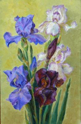 Again, Irises