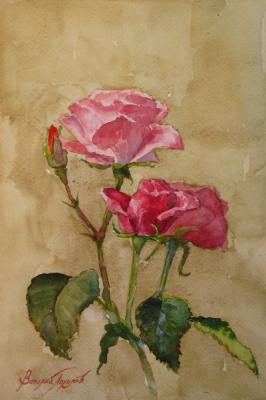 Roses. Pohomov Vasilii