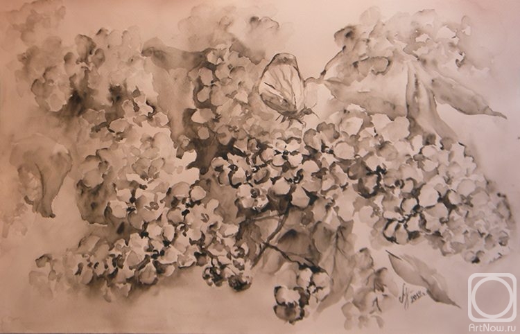 �������. ������� �����. ���� � �������� ������