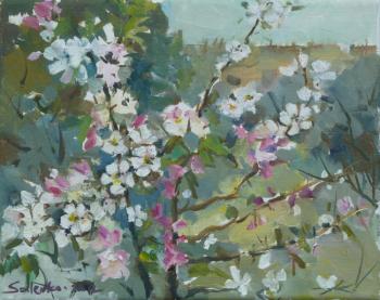 Early blossom. Salenko Irina