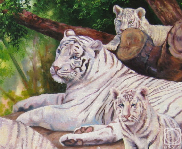 Samarskaya Helena. White Tiger Family (fragment)