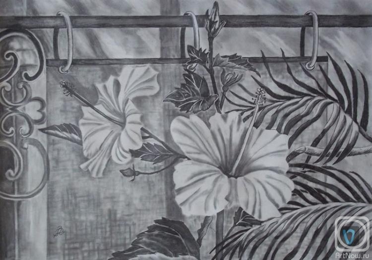 �������. ������� ���������. ������ ������