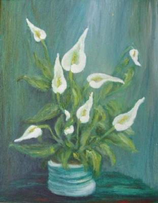 ������� ������������ ������