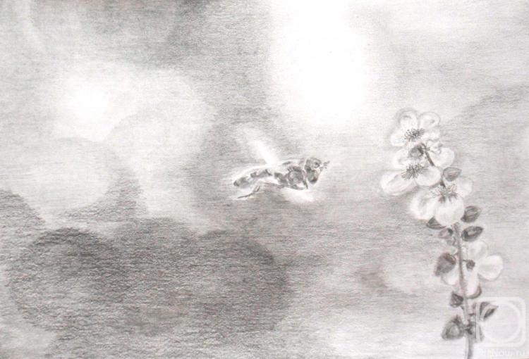 �������. �������� �����. ������ �������