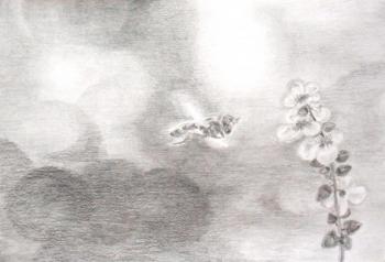 ������ �������. �������� �����