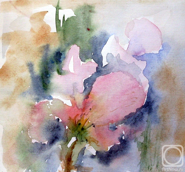 �������. ������ ������. �������� ��������� ����