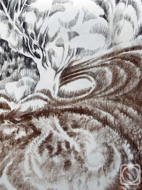 �������. ������ �������. � �����