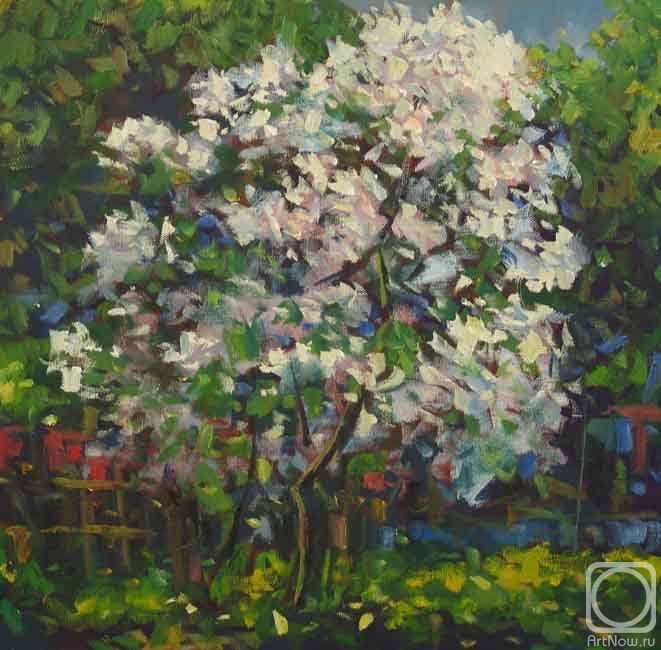 ������� ������ �� ������. ����� ���������. ��������� ����