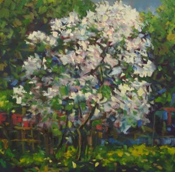 ������� ���������� ����