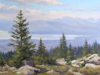 ������� �����������