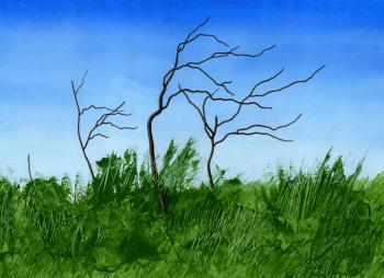 ������� �������