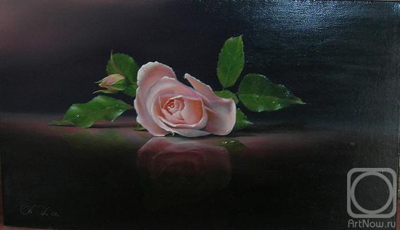 ������� ������ �� ������. ������� �������. ����