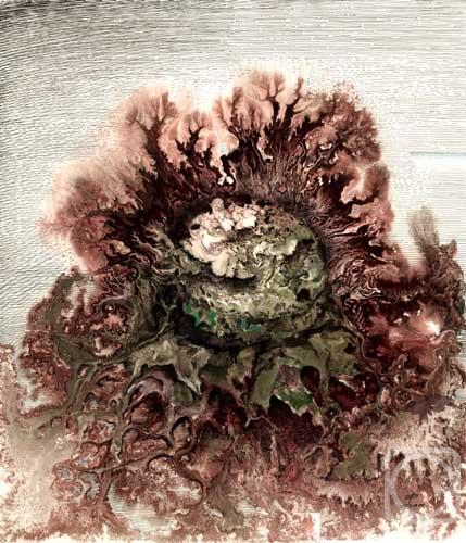 Shanin Vladimir. Blooming of cabbage