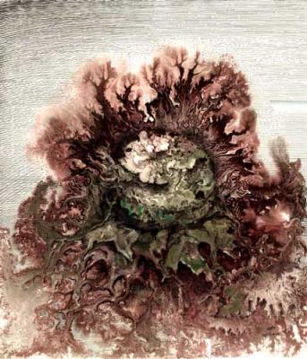 Blooming of cabbage. Shanin Vladimir