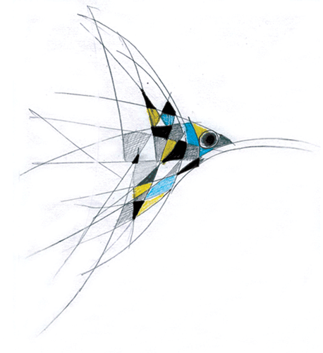 �������. �������� �����. ��������