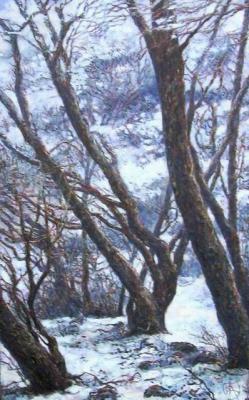 Winter trees. Lavrova Olga