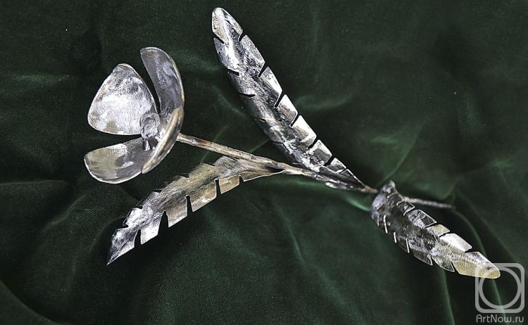 ������� ������. �������� ���