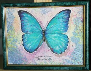 Butterfly Morpho menelaus