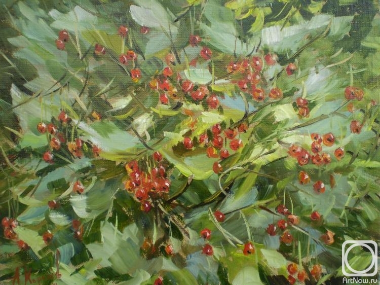 ������� ������ �� ������. ������� ������. ���� ���������