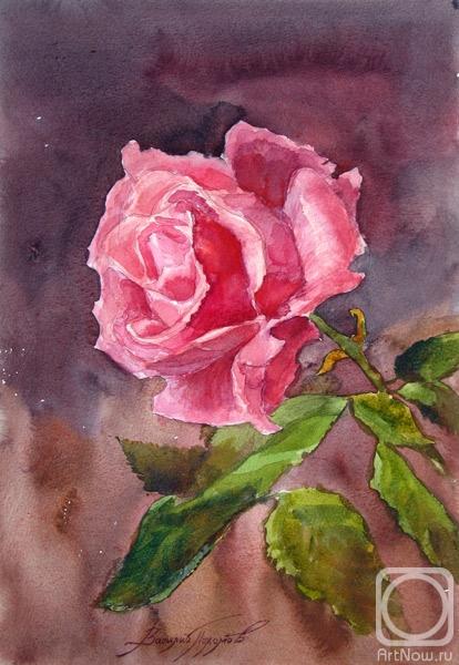 �������. ������� �������. ����