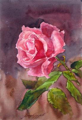 ������� �����