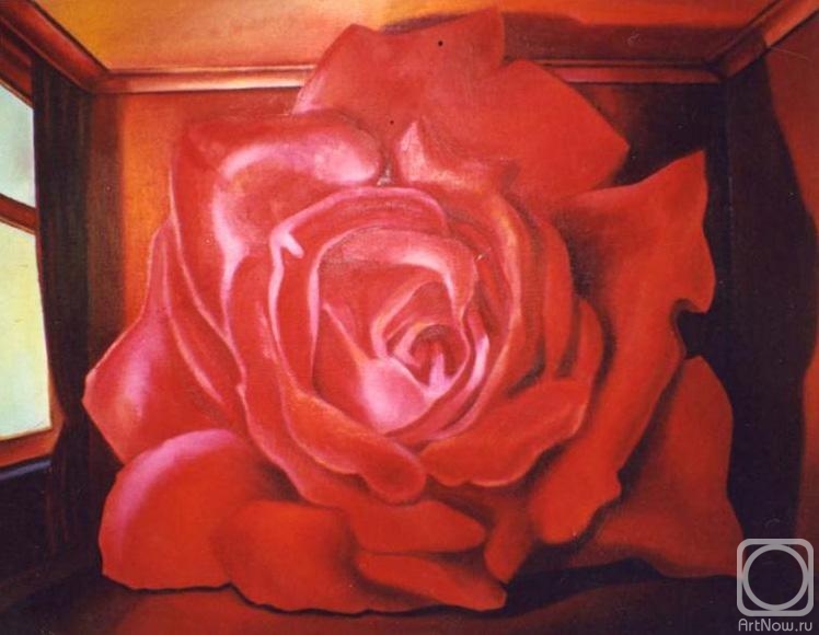 ������� ������ �� ������. �������� �����. ���� � ���������