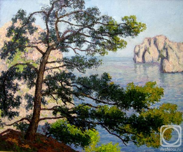 Arbitailo Mikhail. Crimea. Pine