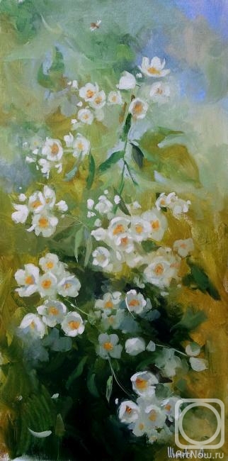 ������� ������ �� ������. ������� �����. ����� �������