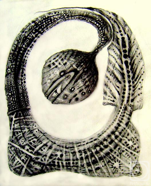 �������. ������� ����. �����������