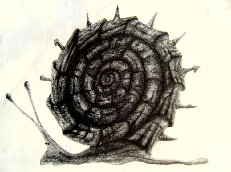 �������. ������� ����. �����