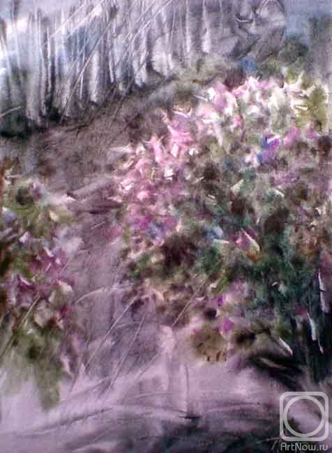 Knecht Aleksander. Untitled