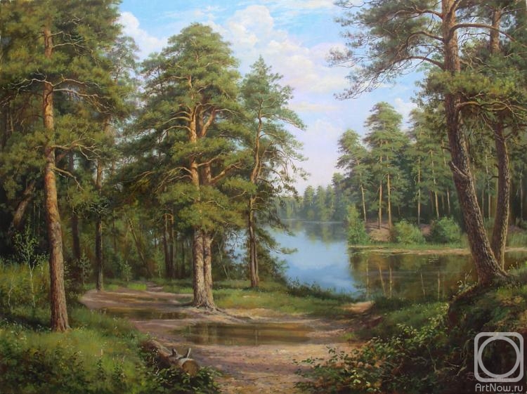 Zaytsev Vitaliy. Lake in the forest
