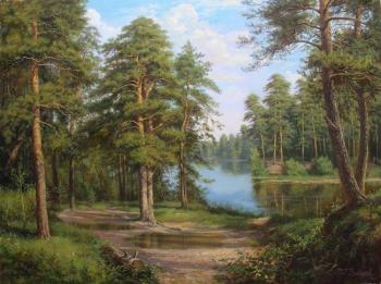 Lake in the forest. Zaytsev Vitaliy