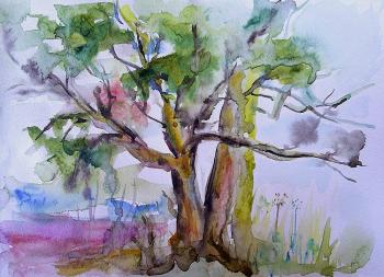 Untitled. Nureeva Elizaveta