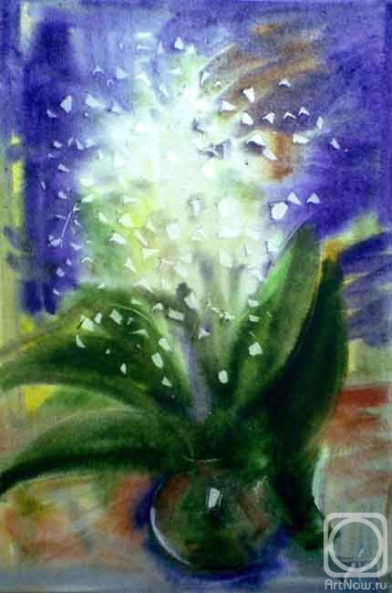 �������. ����� ���������. �������. �������� ���� ������