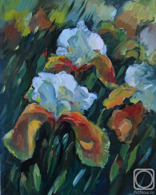 ������� ������ �� ������. ���������-������� �����. �����