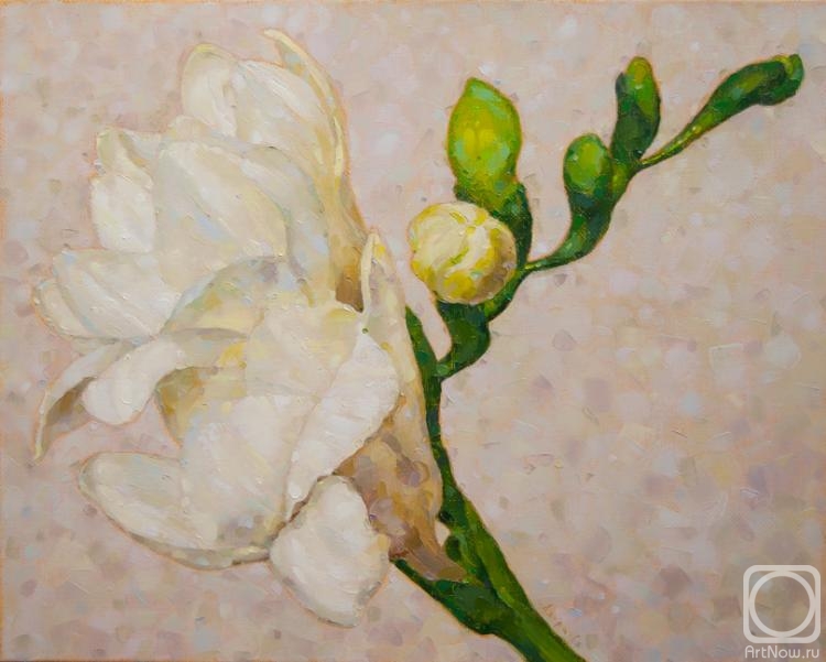 ������� ������ �� ������. ������������ ������. ������