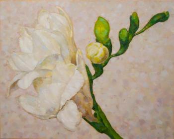 freesia. Sayfutdinova Larisa