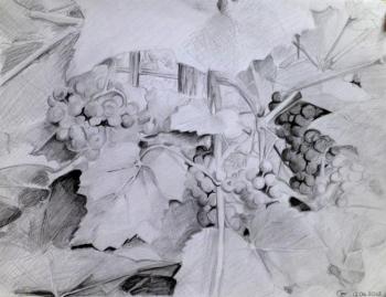 ������� ������������� ��������