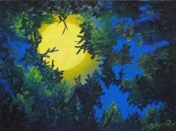 Moonlight. Miroshnikov Vyacheslav