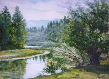 ����. �������� ���������