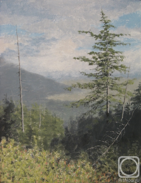 �������. ������� �������. �������� � ������������