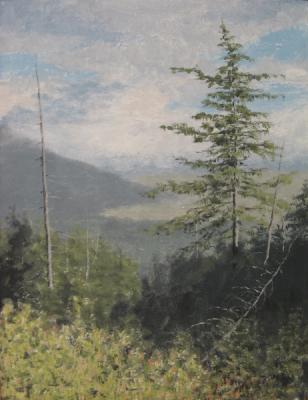 ������� ��������� � ������������